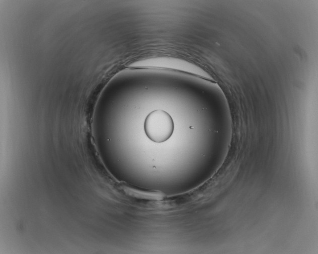 X0000115790320200911131313