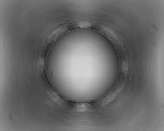 X0000115790321200911131313