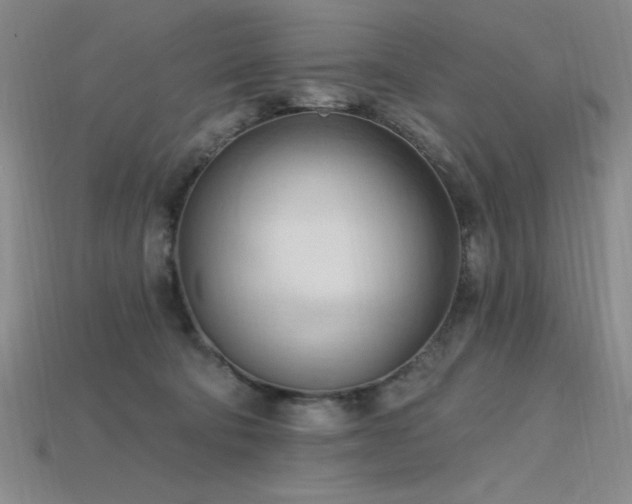 X0000115790322200911131313