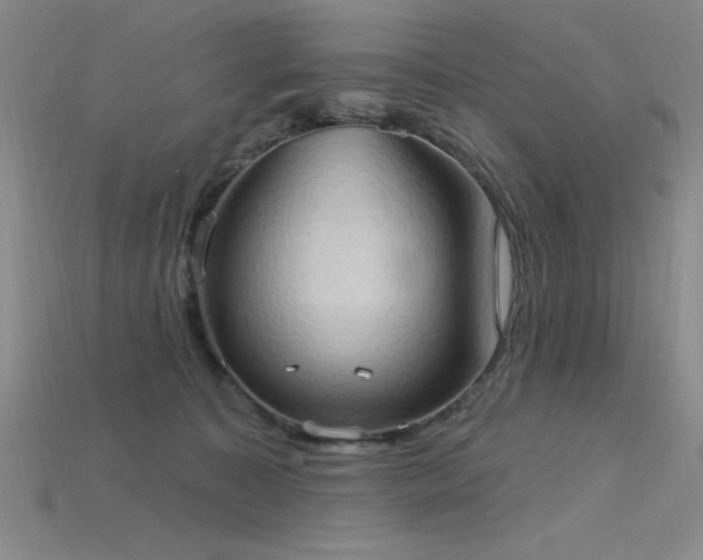 X0000115790323200911131313