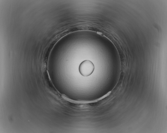 X0000115790324200911131313