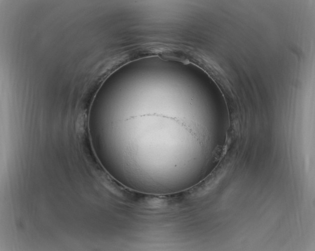 X0000115790325200911131313