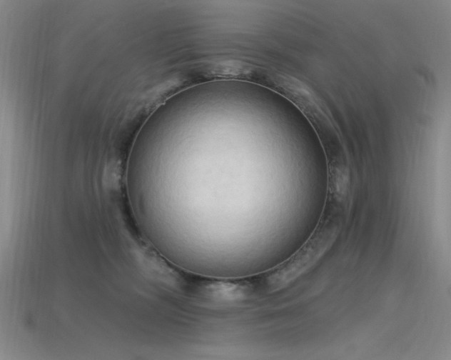 X0000115790326200911131313