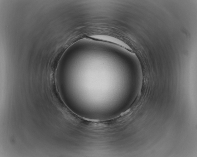 X0000115790327200911131313