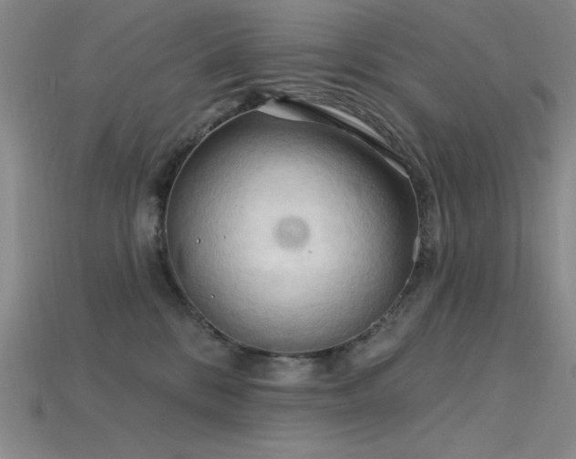 X0000115790328200911131313