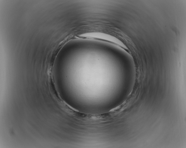 X0000115790329200911131313