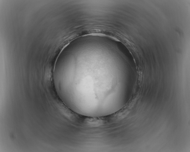 X0000115790331200911131313