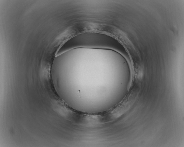 X0000115790332200911131313