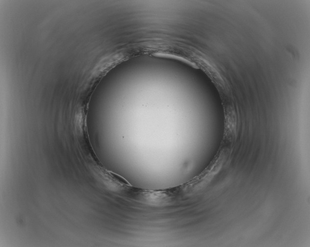 X0000115790333200911131313