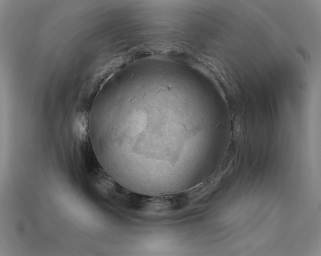 X0000115790335200911131313