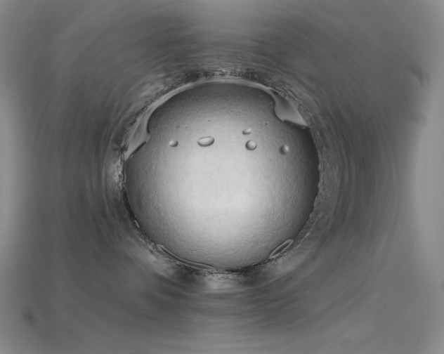 X0000115790336200911131313