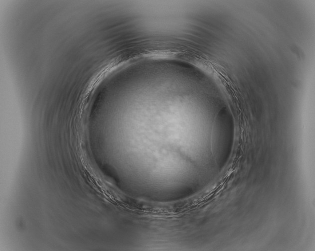 X0000115790337200911131312