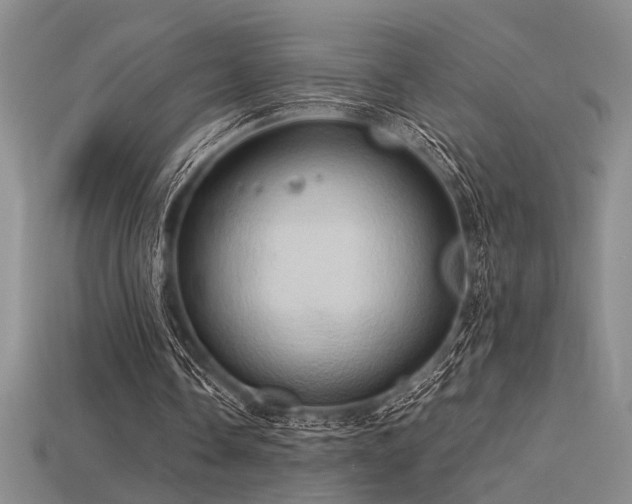 X0000115790338200911131312