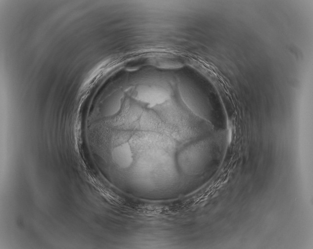 X0000115790339200911131312