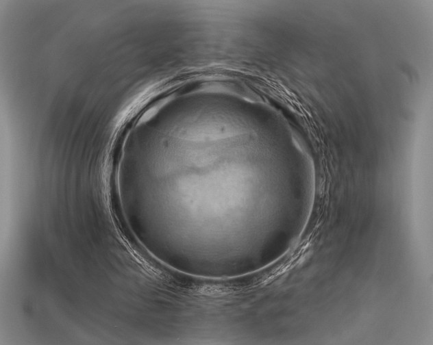 X0000115790341200911131312