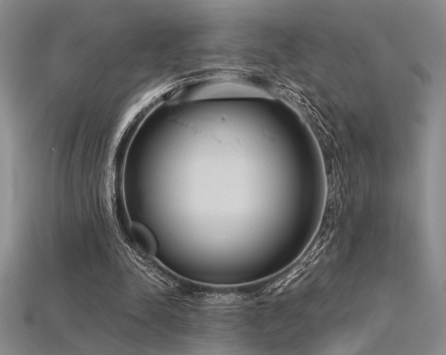 X0000115790342200911131313