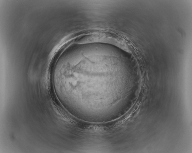 X0000115790343200911131313