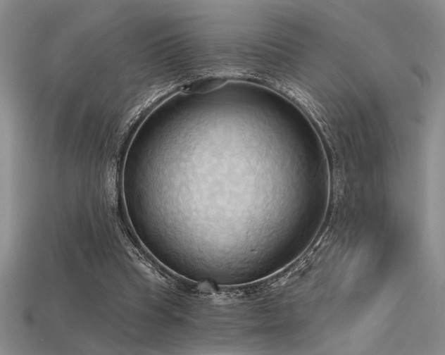 X0000115790345200911131313