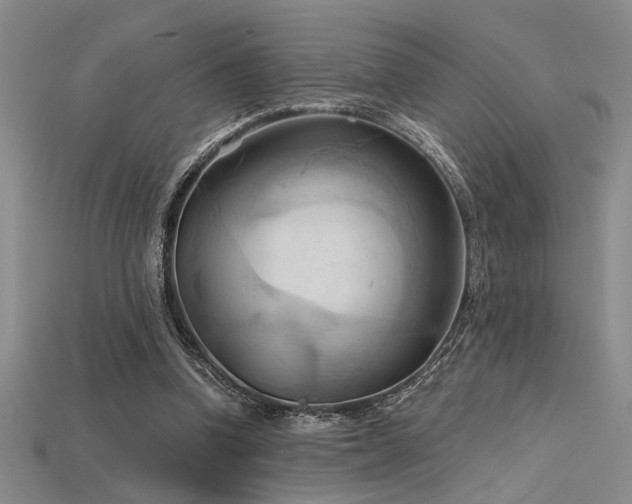 X0000115790346200911131313