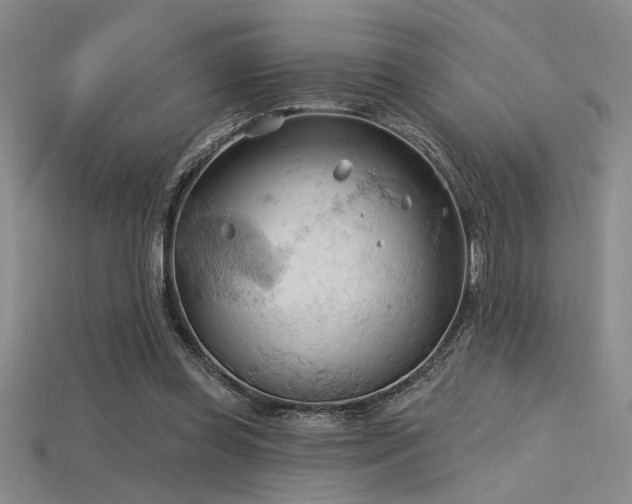 X0000115790349200911131313