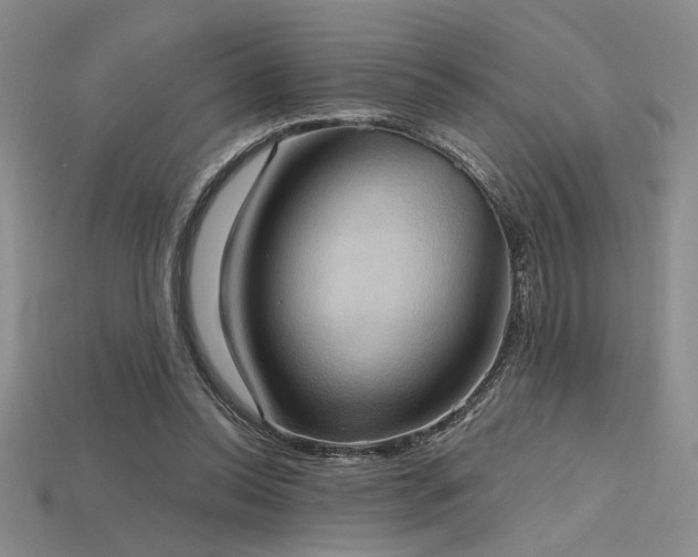 X0000115790350200911131313