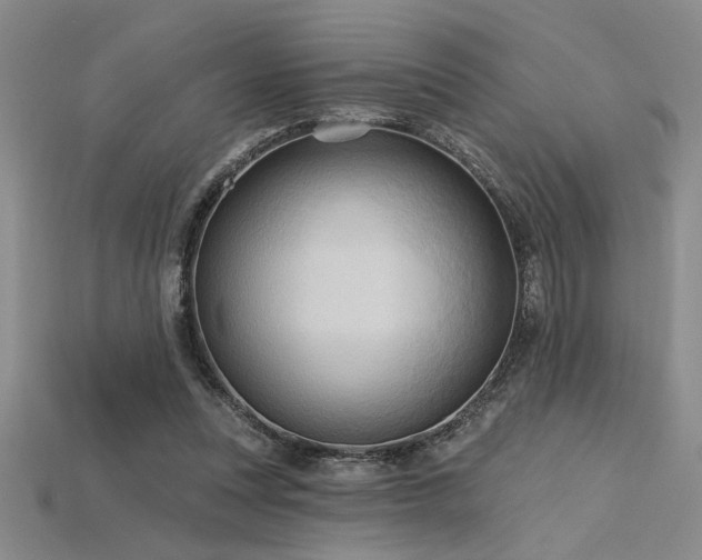 X0000115790351200911131313