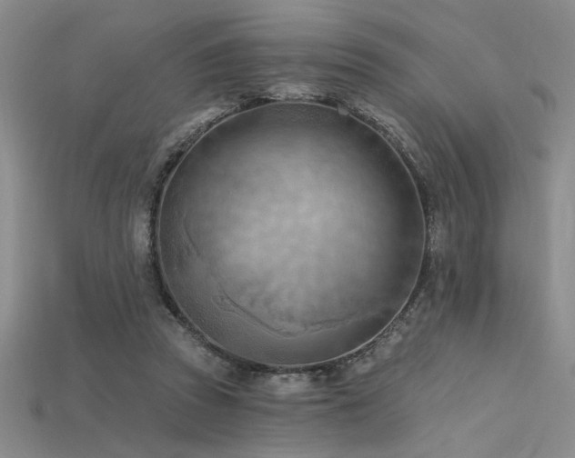 X0000115790353200911131313