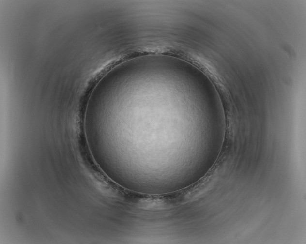 X0000115790354200911131313