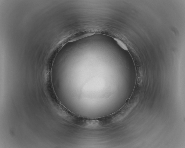 X0000115790355200911131313