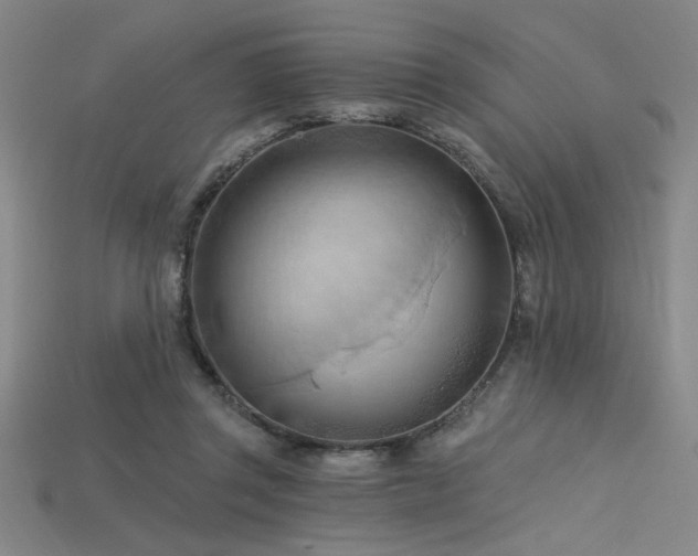 X0000115790357200911131313