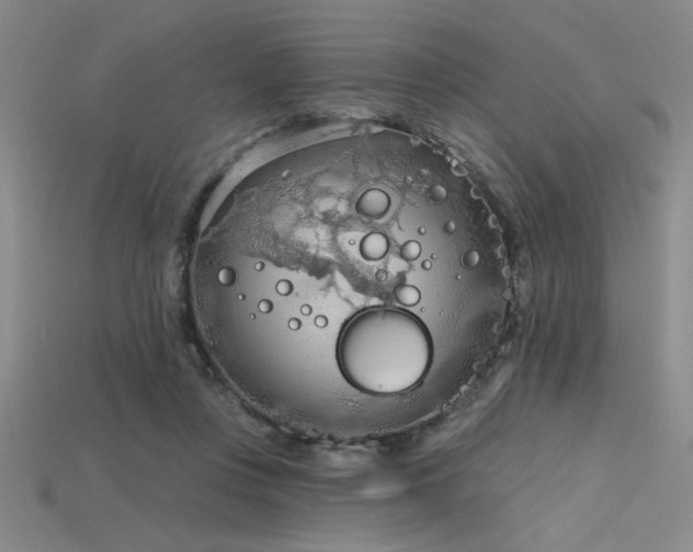 X0000115790359200911131313