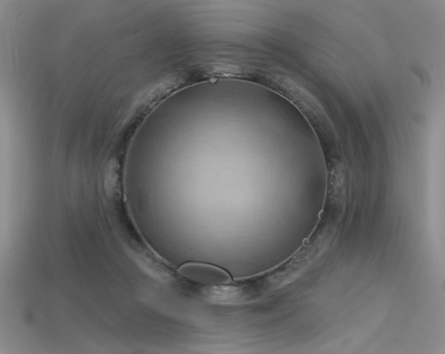 X0000115790361200911131313