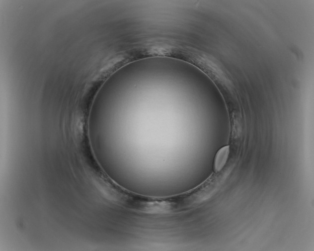 X0000115790363200911131313