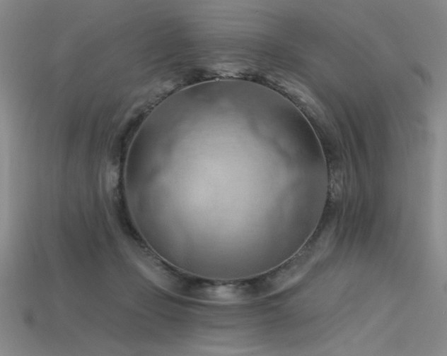 X0000115790365200911131313