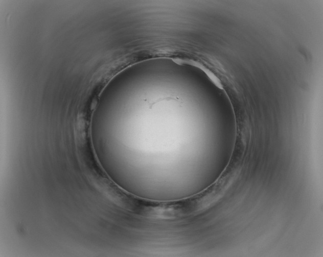 X0000115790366200911131313