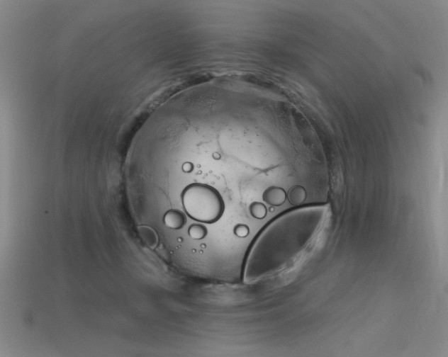 X0000115790367200911131313