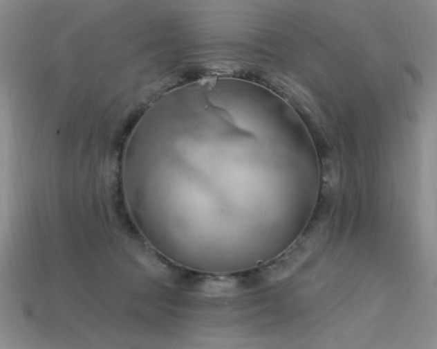 X0000115790369200911131313