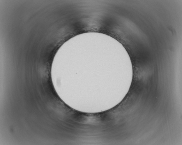 X0000115790370200911131313