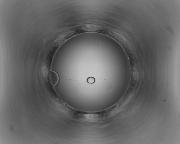 X0000115790371200911131313