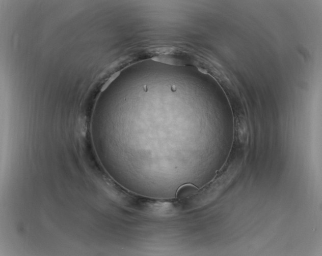 X0000115790374200911131313