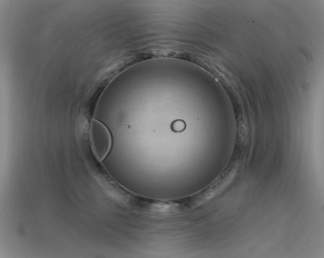 X0000115790375200911131313