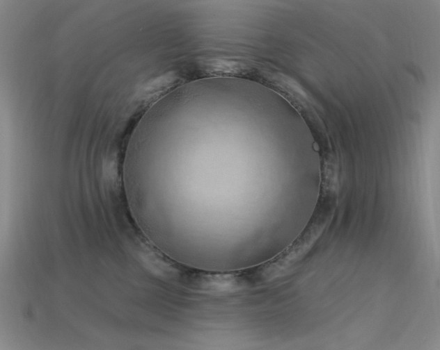 X0000115790377200911131313