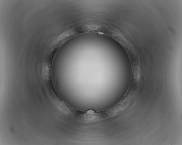 X0000115790378200911131313