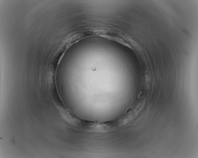 X0000115790379200911131313