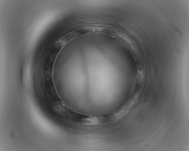 X0000115790381200911131313