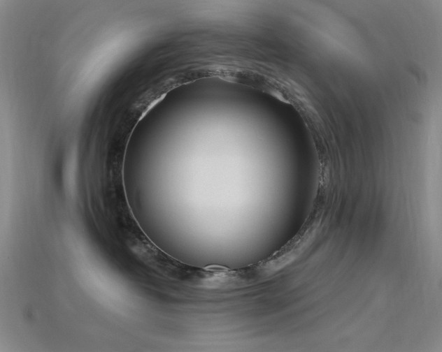 X0000115790382200911131313