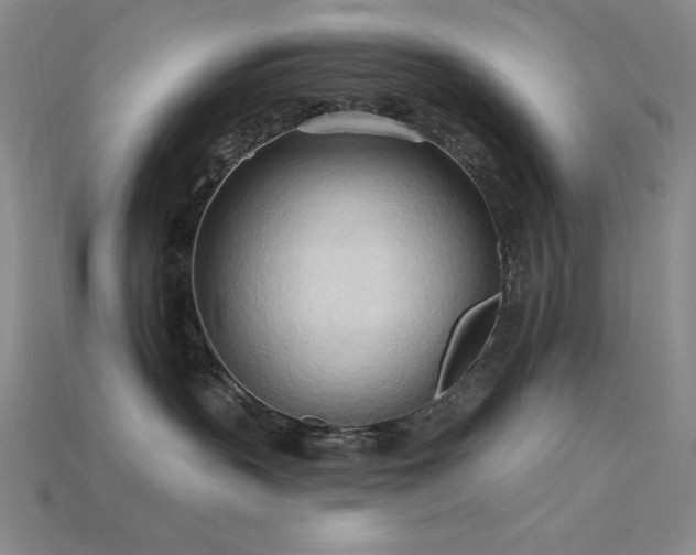 X0000115790383200911131313