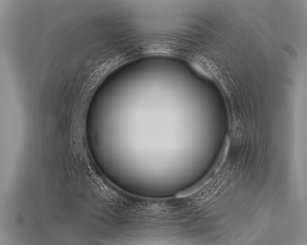 X0000115790385200911131312