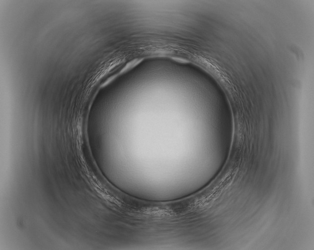 X0000115790386200911131312