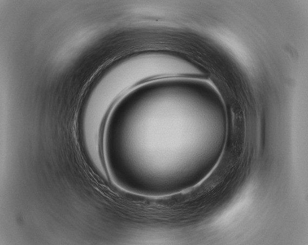 X0000115790387200911131312